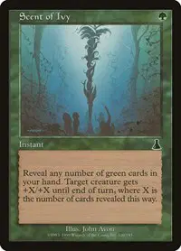 Scent of Ivy