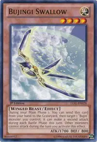 Bujingi Swallow