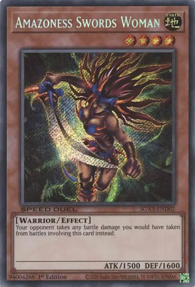 Amazoness Swords Woman