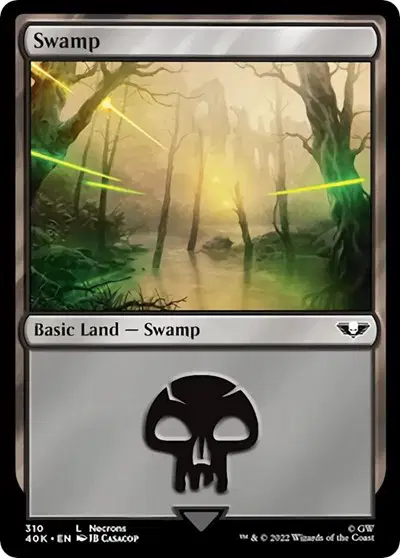 Swamp