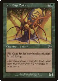 Rib Cage Spider