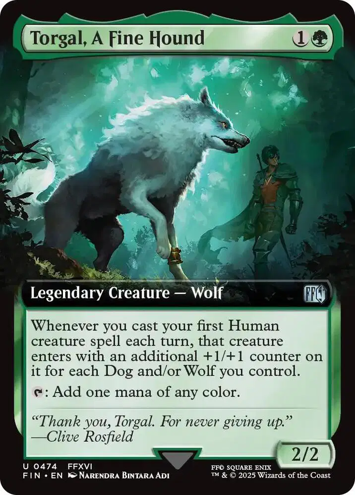Torgal, A Fine Hound