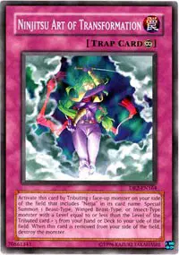 Ninjitsu Art of Transformation