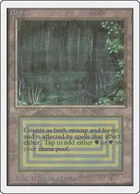 Bayou