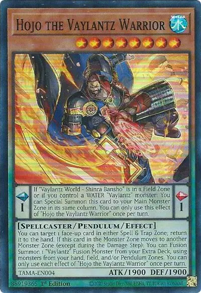 Hojo the Vaylantz Warrior