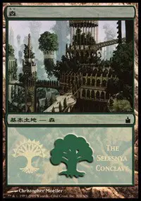 Forest