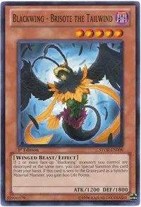 Blackwing - Brisote the Tailwind