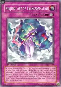 Ninjitsu Art of Transformation