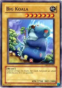 Big Koala
