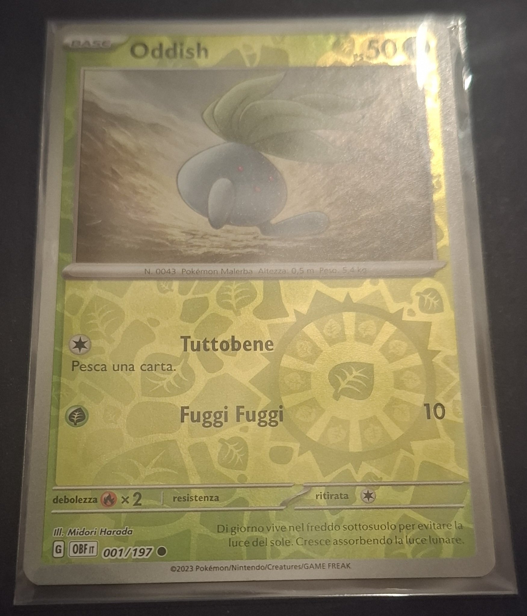 Auction Image 2