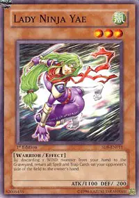 Lady Ninja Yae