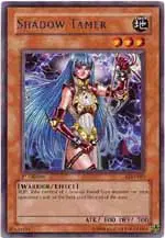 Shadow Tamer