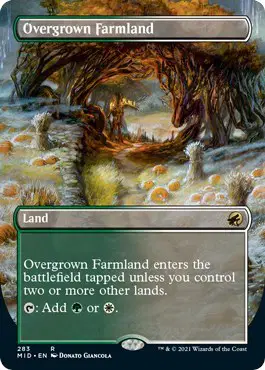 Overgrown Farmland