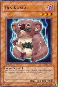 Des Koala