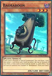 Baobaboon