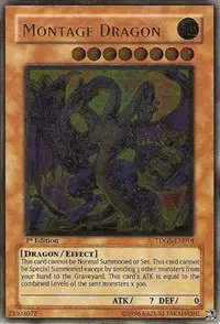 Montage Dragon