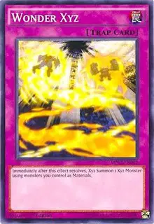 Wonder Xyz