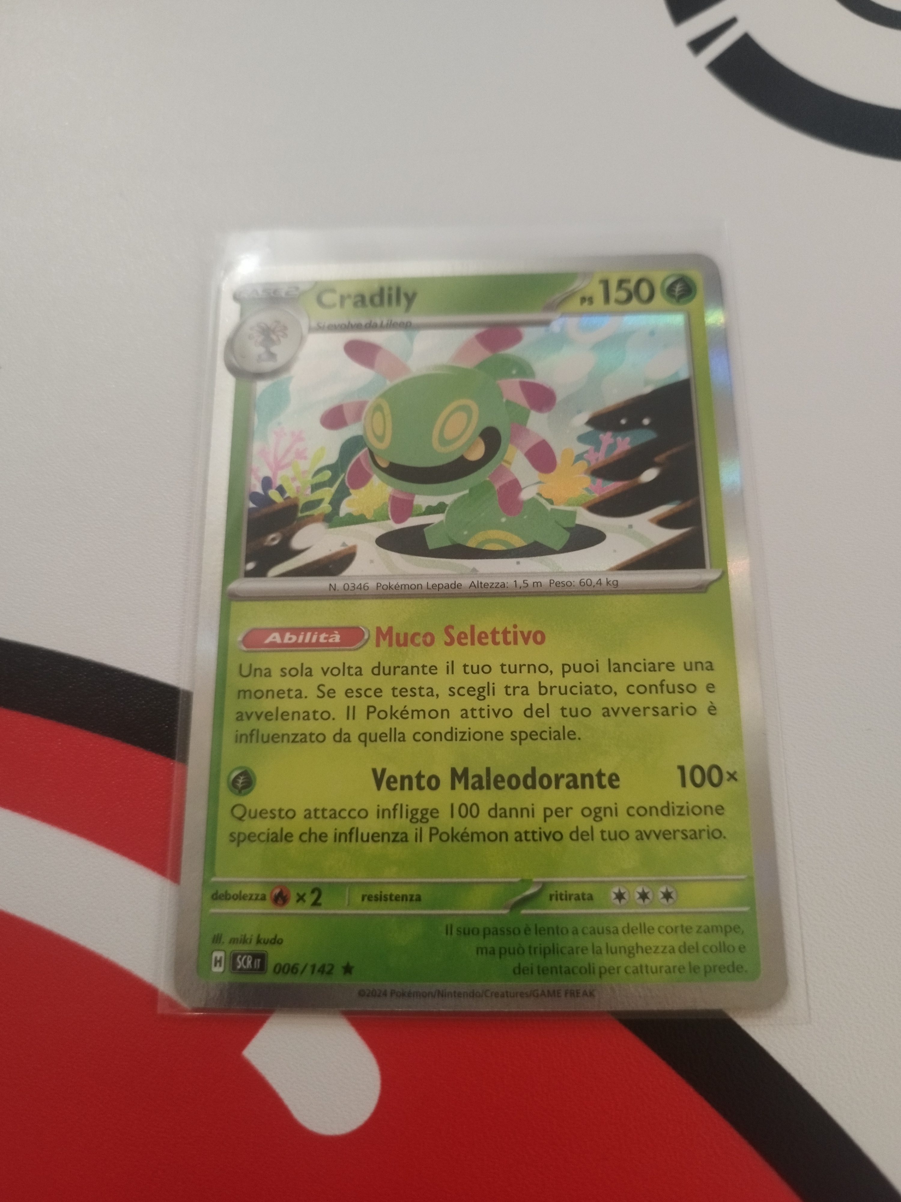 Auction Image 2