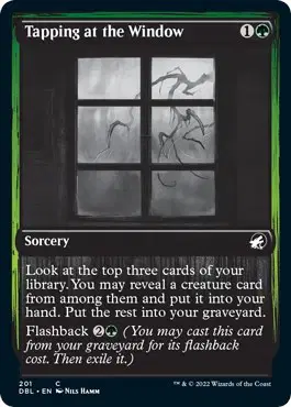 Tapping at the Window