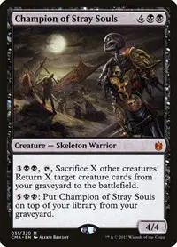 Champion of Stray Souls