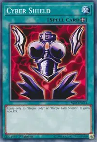 Cyber Shield