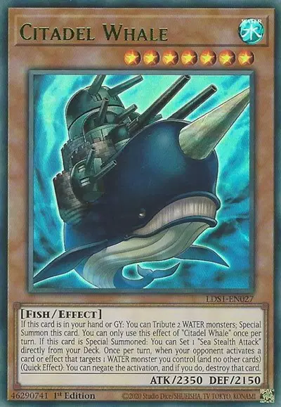 Citadel Whale