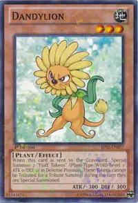 Dandylion
