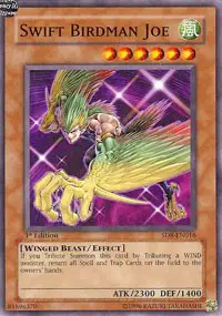 Swift Birdman Joe