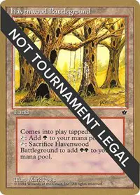 Havenwood Battleground