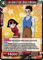 Son Gohan & Videl, Bonds of Matrimony
