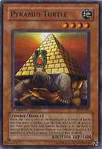Pyramid Turtle