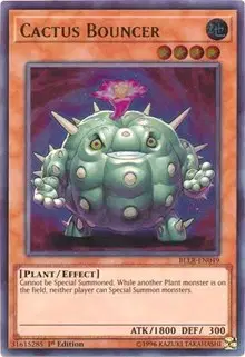 Cactus Bouncer