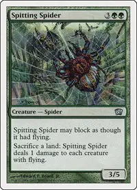 Spitting Spider