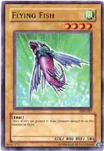 Flying Fish