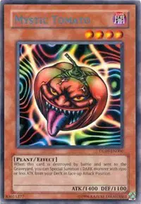 Mystic Tomato