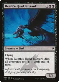 Death's-Head Buzzard