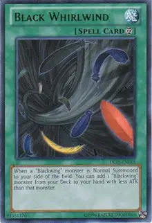 Black Whirlwind