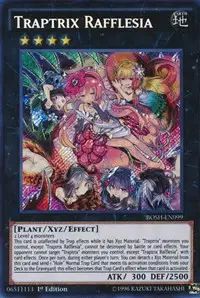 Traptrix Rafflesia
