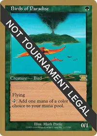 Birds of Paradise
