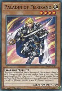 Paladin of Felgrand