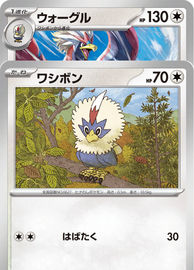 Auction card for Bundle - Braviary - Rufflet