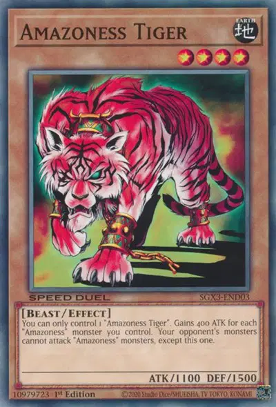 Amazone Tiger