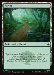 Forest