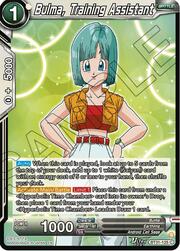 Bulma, Training Assistant