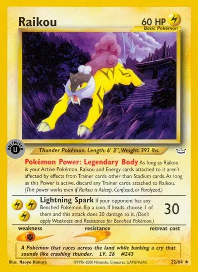 Raikou (22)