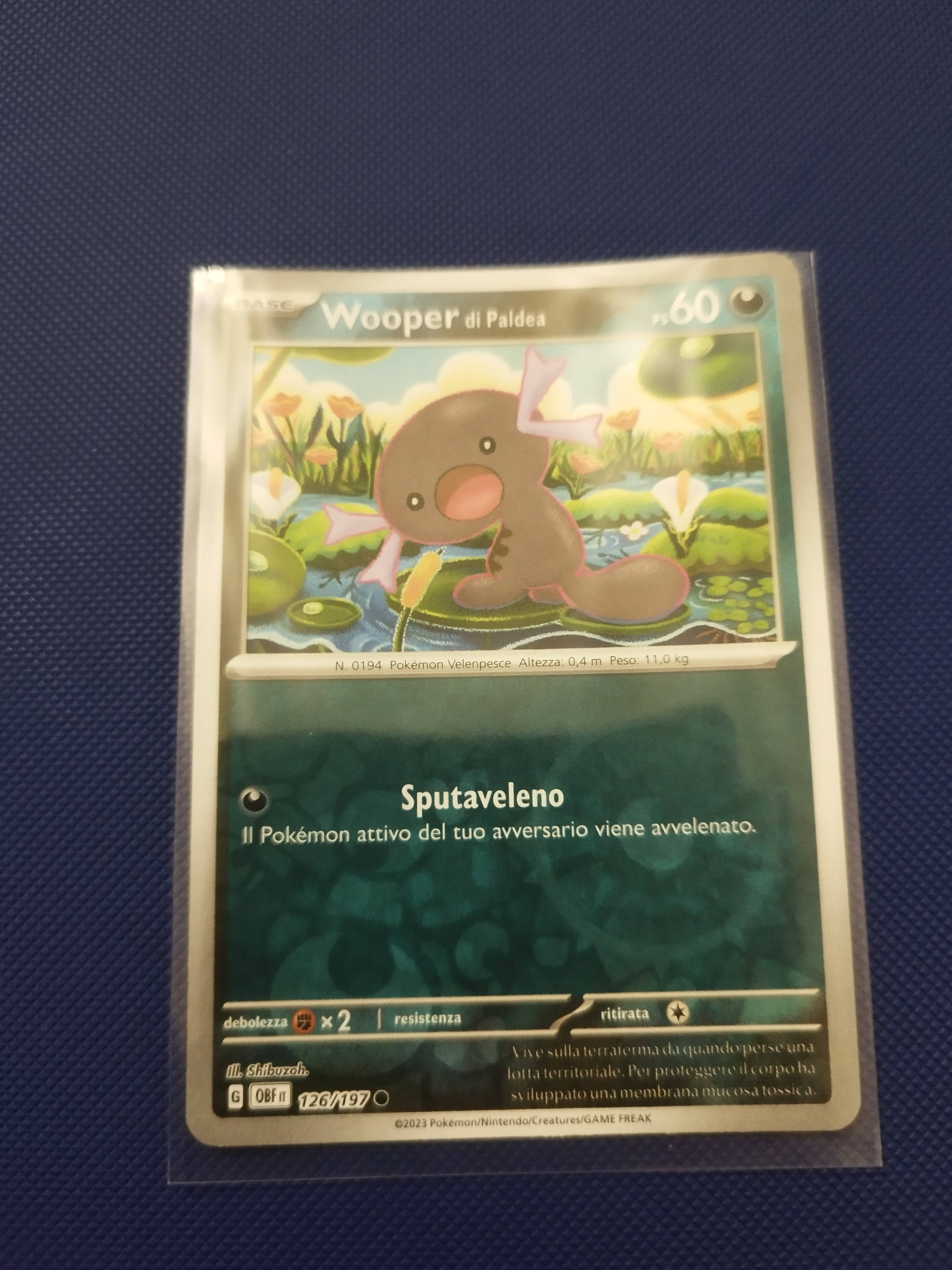 Auction Image 2