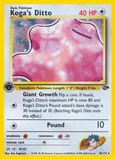 Koga's Ditto