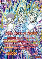 Krillin // Krillin, Grown-up Support