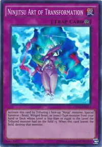 Ninjitsu Art of Transformation