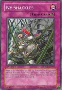 Ivy Shackles